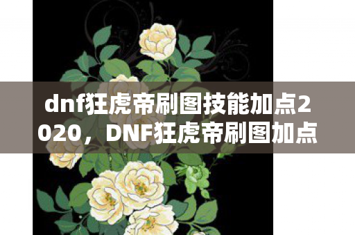 dnf狂虎帝刷图技能加点2020，DNF狂虎帝刷图加点攻略，打造高效战斗体验
