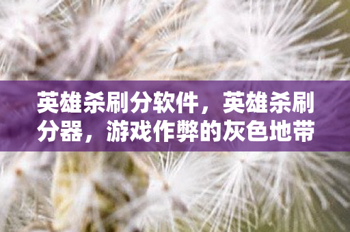 英雄杀刷分软件，英雄杀刷分器，游戏作弊的灰色地带