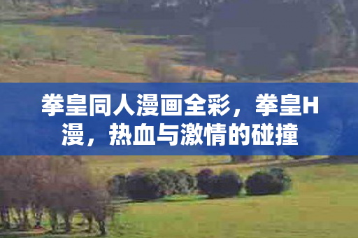 拳皇同人漫画全彩，拳皇H漫，热血与激情的碰撞