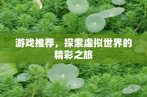 游戏推荐，探索虚拟世界的精彩之旅