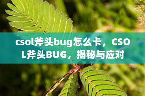 csol斧头bug怎么卡，CSOL斧头BUG，揭秘与应对
