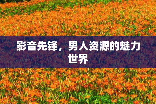 影音先锋，男人资源的魅力世界