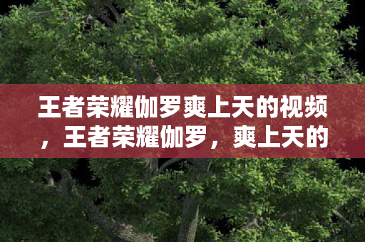 王者荣耀伽罗爽上天的视频，王者荣耀伽罗，爽上天的表情
