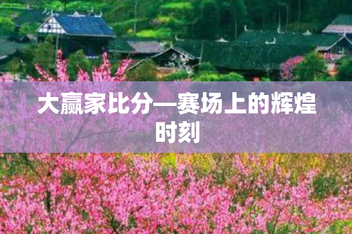 大赢家比分—赛场上的辉煌时刻