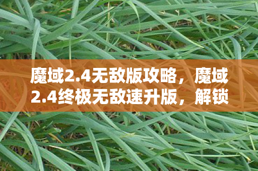 魔域2.4无敌版攻略，魔域2.4终极无敌速升版，解锁全新冒险，挑战极限速度！