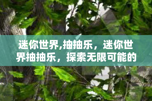迷你世界,抽抽乐，迷你世界抽抽乐，探索无限可能的奇妙之旅