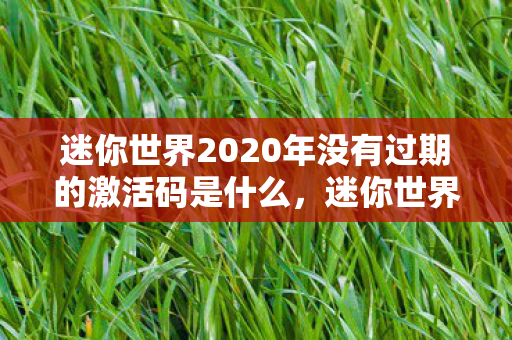 迷你世界2020年没有过期的激活码是什么，迷你世界2020年未过期激活码大放送！