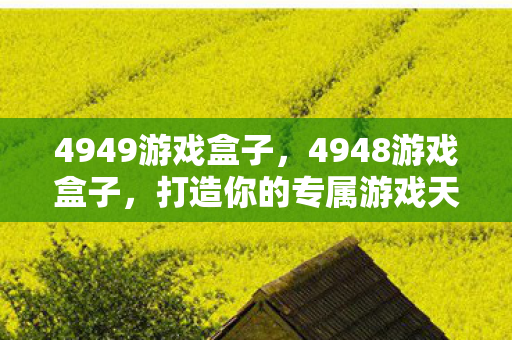 4949游戏盒子，4948游戏盒子，打造你的专属游戏天堂