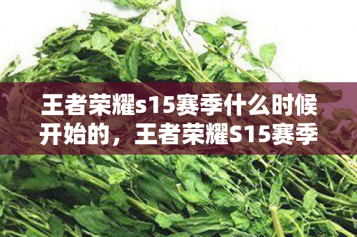 王者荣耀s15赛季什么时候开始的，王者荣耀S15赛季开始时间预测与分析