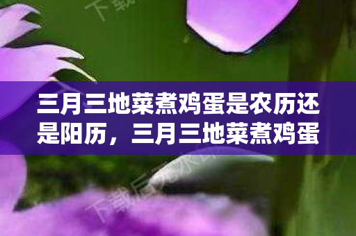 三月三地菜煮鸡蛋是农历还是阳历，三月三地菜煮鸡蛋，传统习俗与现代健康的完美结合