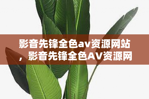 影音先锋全色av资源网站，影音先锋全色AV资源网，探索影音世界的无限可能