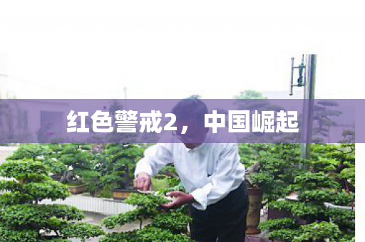 红色警戒2,中国崛起 红色警戒2,中国崛起