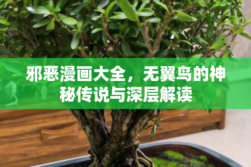 邪恶漫画大全，无翼鸟的神秘传说与深层解读
