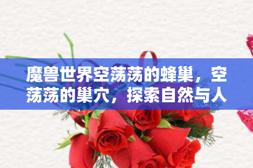 魔兽世界空荡荡的蜂巢，空荡荡的巢穴，探索自然与人类的共生关系