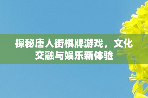 探秘唐人街棋牌游戏，文化交融与娱乐新体验