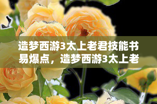造梦西游3太上老君技能书易爆点，造梦西游3太上老君在哪？揭秘游戏中的神秘角色