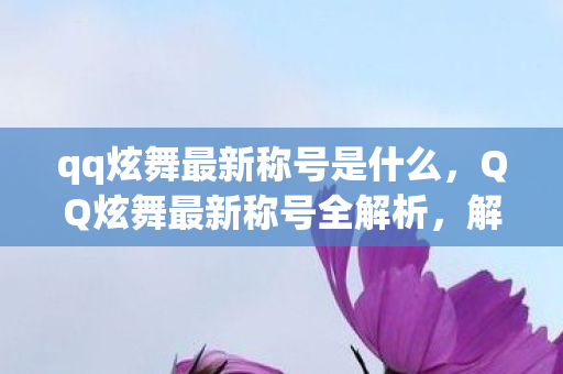 qq炫舞最新称号是什么，QQ炫舞最新称号全解析，解锁你的舞蹈新境界