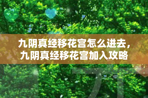 九阴真经移花宫怎么进去，九阴真经移花宫加入攻略