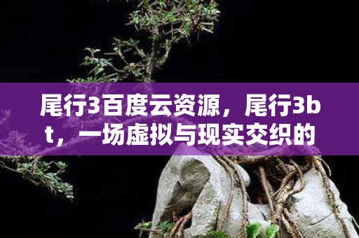 尾行3百度云资源，尾行3bt，一场虚拟与现实交织的冒险