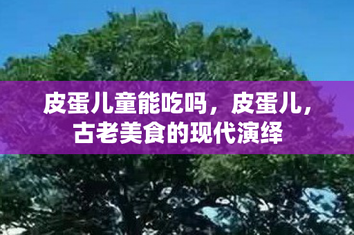 皮蛋儿童能吃吗，皮蛋儿，古老美食的现代演绎