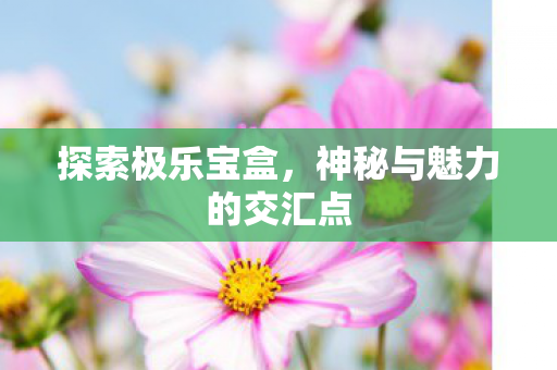 探索极乐宝盒，神秘与魅力的交汇点