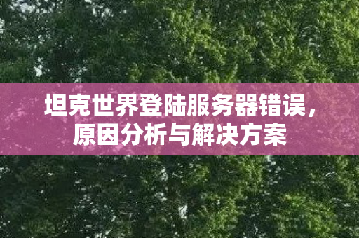 坦克世界登陆服务器错误，原因分析与解决方案