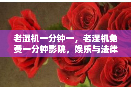 老湿机一分钟一，老湿机免费一分钟影院，娱乐与法律的灰色地带