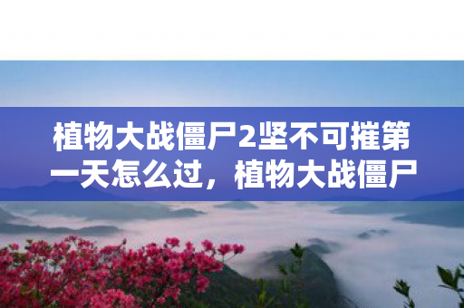 植物大战僵尸2坚不可摧第一天怎么过，植物大战僵尸2，坚不可摧第三天的挑战策略