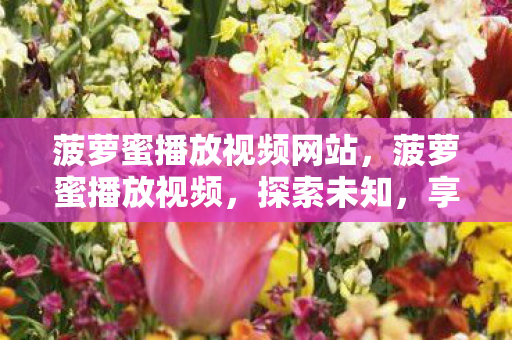 菠萝蜜播放视频网站，菠萝蜜播放视频，探索未知，享受娱乐的新方式