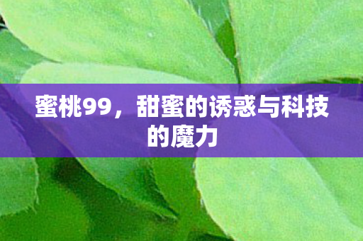 蜜桃99，甜蜜的诱惑与科技的魔力