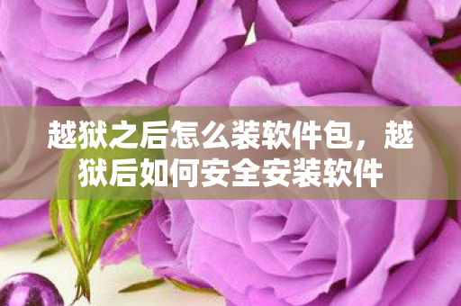 越狱之后怎么装软件包，越狱后如何安全安装软件