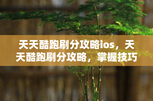 天天酷跑刷分攻略ios，天天酷跑刷分攻略，掌握技巧，轻松提升排名