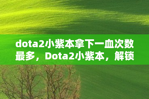 dota2小紫本拿下一血次数最多，Dota2小紫本，解锁游戏世界的神秘宝藏