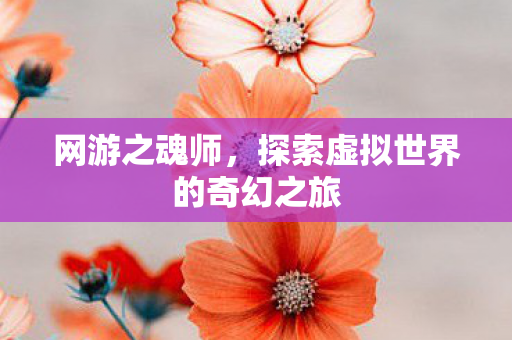 网游之魂师，探索虚拟世界的奇幻之旅