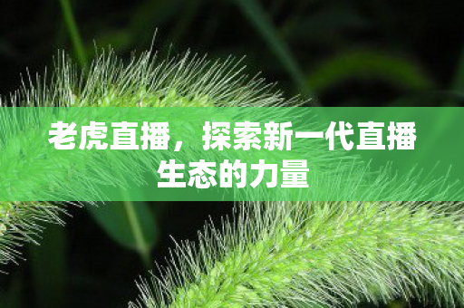 老虎直播，探索新一代直播生态的力量