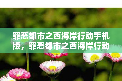 罪恶都市之西海岸行动手机版，罪恶都市之西海岸行动