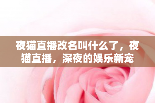 夜猫直播改名叫什么了，夜猫直播，深夜的娱乐新宠