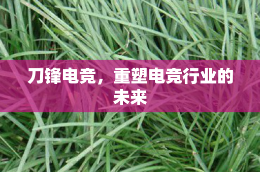 刀锋电竞，重塑电竞行业的未来