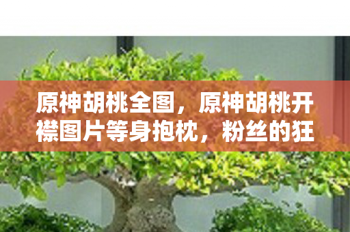 原神胡桃全图，原神胡桃开襟图片等身抱枕，粉丝的狂热与争议