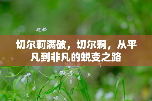 切尔莉满破，切尔莉，从平凡到非凡的蜕变之路