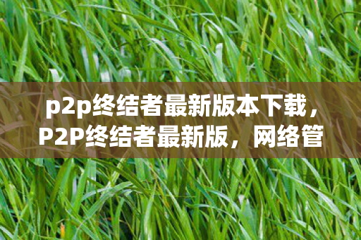 p2p终结者最新版本下载，P2P终结者最新版，网络管理的革命性工具