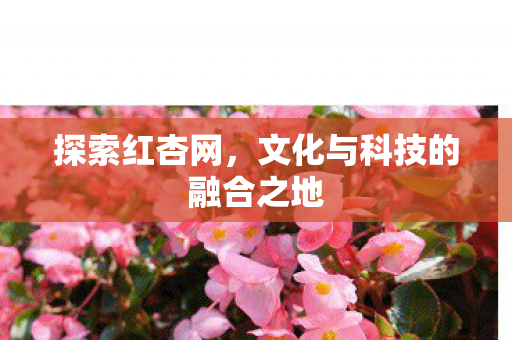探索红杏网，文化与科技的融合之地