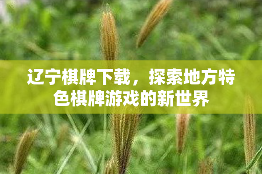 辽宁棋牌下载，探索地方特色棋牌游戏的新世界