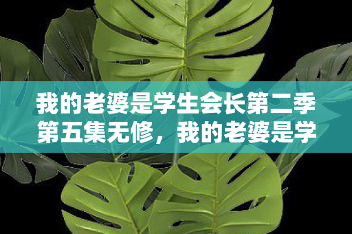 我的老婆是学生会长第二季第五集无修，我的老婆是学生会长 第二季 无修