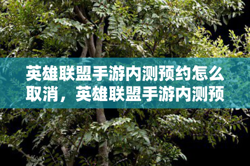 英雄联盟手游内测预约怎么取消，英雄联盟手游内测预约全解析，如何抢占先机，率先体验经典对战？