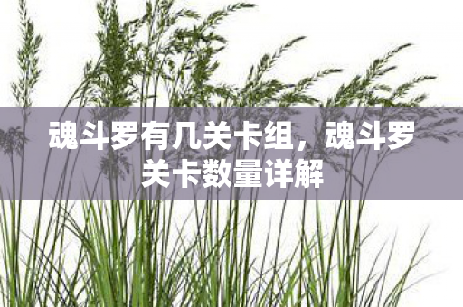 魂斗罗有几关卡组，魂斗罗关卡数量详解