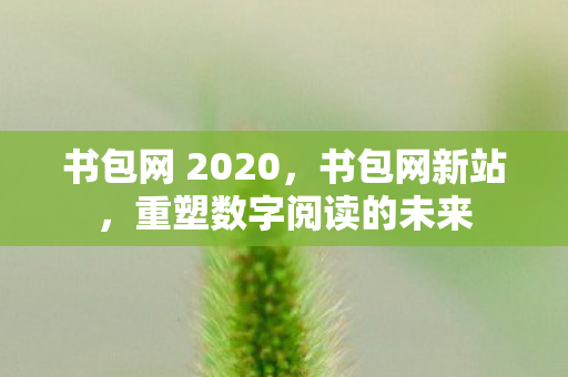 书包网 2020，书包网新站，重塑数字阅读的未来