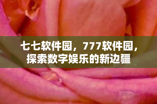 七七软件园，777软件园，探索数字娱乐的新边疆