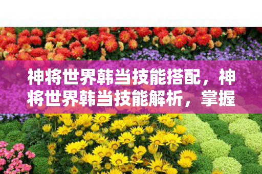 神将世界韩当技能搭配，神将世界韩当技能解析，掌握韩当的独特战斗艺术