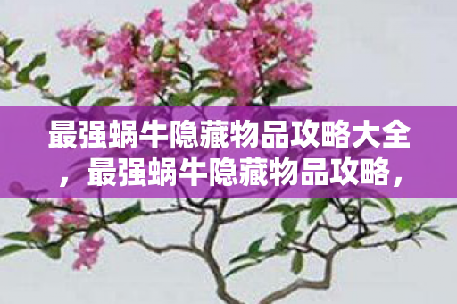 最强蜗牛隐藏物品攻略大全，最强蜗牛隐藏物品攻略，解锁神秘宝藏，提升游戏乐趣